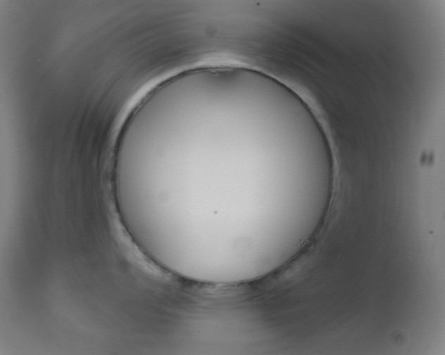 X0000112961008200908270915