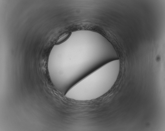 X0000112961010200908270914