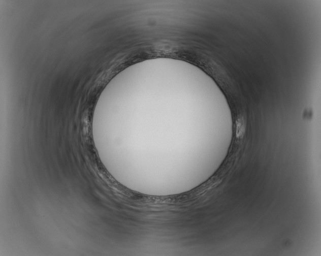 X0000112961011200908270914