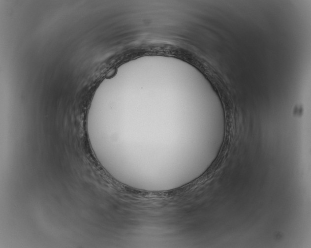X0000112961013200908270914