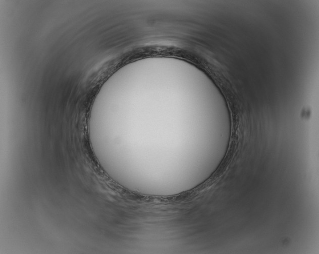 X0000112961014200908270914