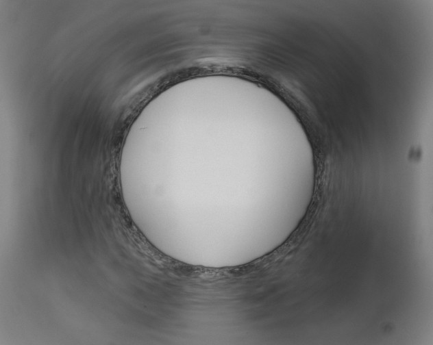 X0000112961015200908270914
