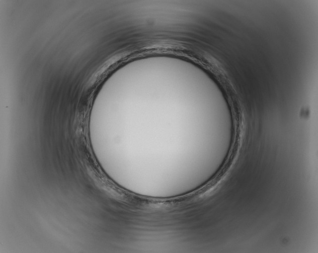 X0000112961017200908270914