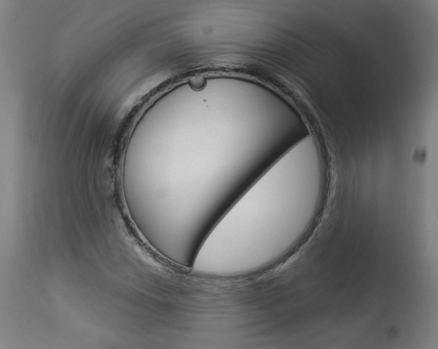 X0000112961018200908270914