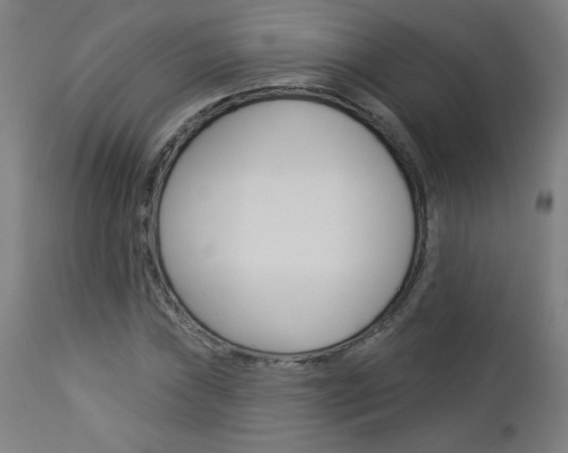 X0000112961019200908270914