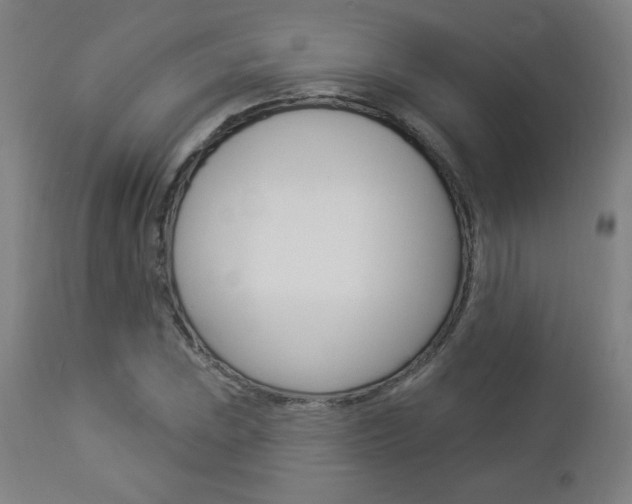 X0000112961023200908270914