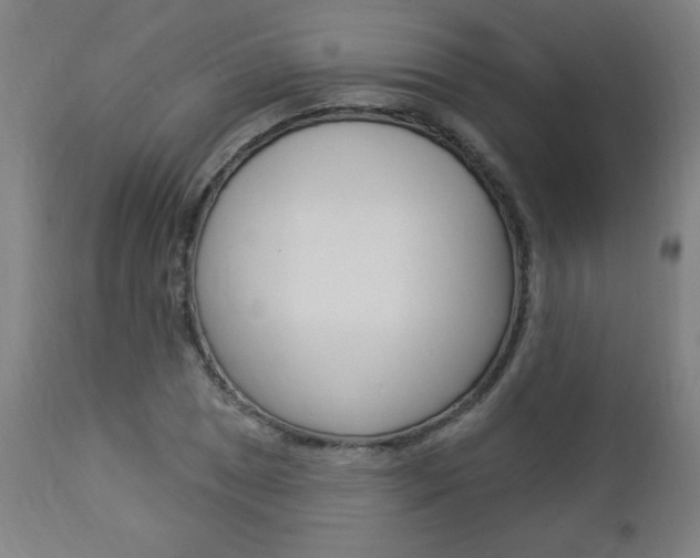 X0000112961025200908270914