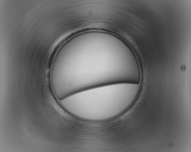 X0000112961029200908270915