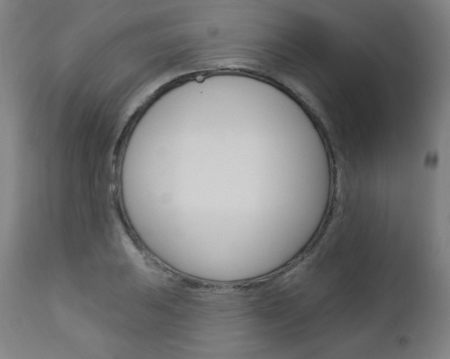 X0000112961031200908270915