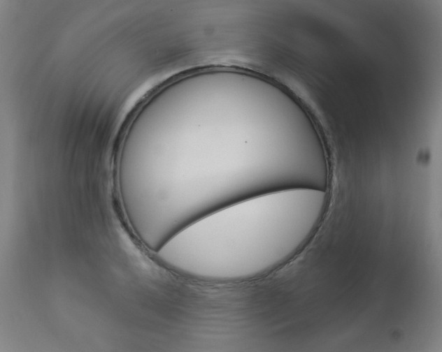 X0000112961032200908270915