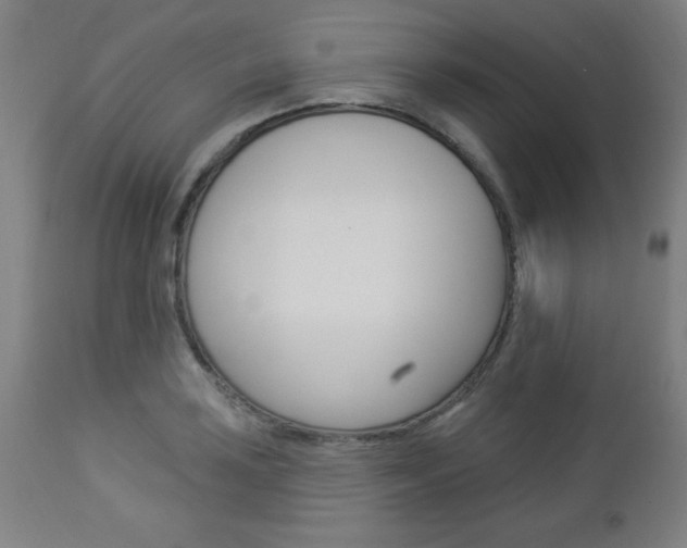 X0000112961035200908270915