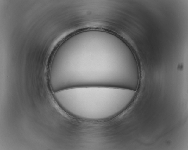 X0000112961037200908270915
