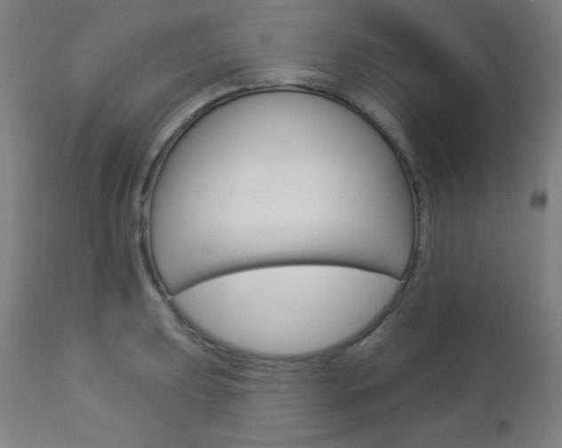 X0000112961039200908270915