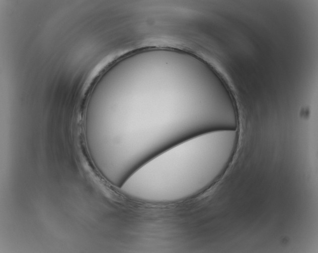 X0000112961040200908270915