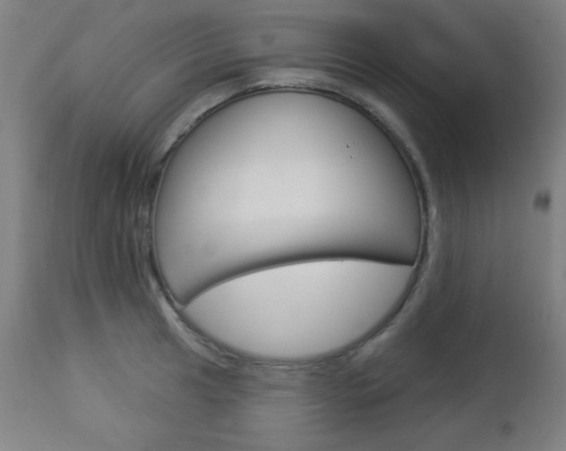 X0000112961041200908270915