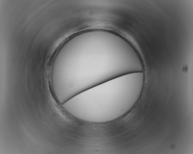 X0000112961043200908270915
