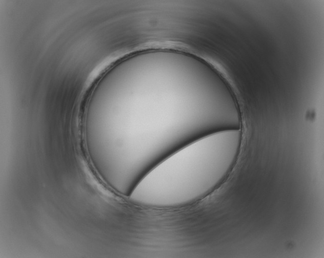 X0000112961046200908270915