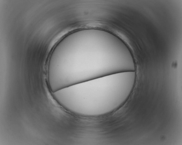 X0000112961047200908270915