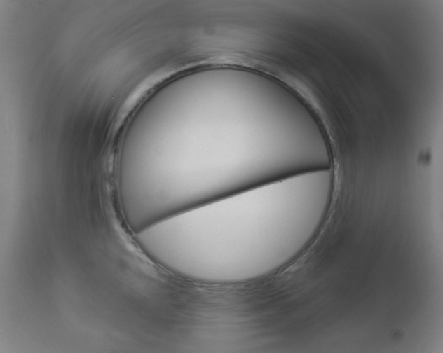 X0000112961048200908270915