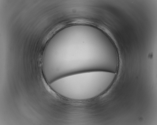 X0000112961049200908270915