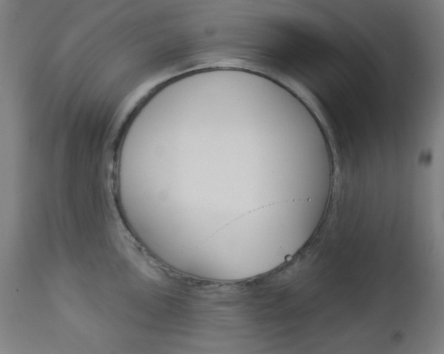 X0000112961051200908270915