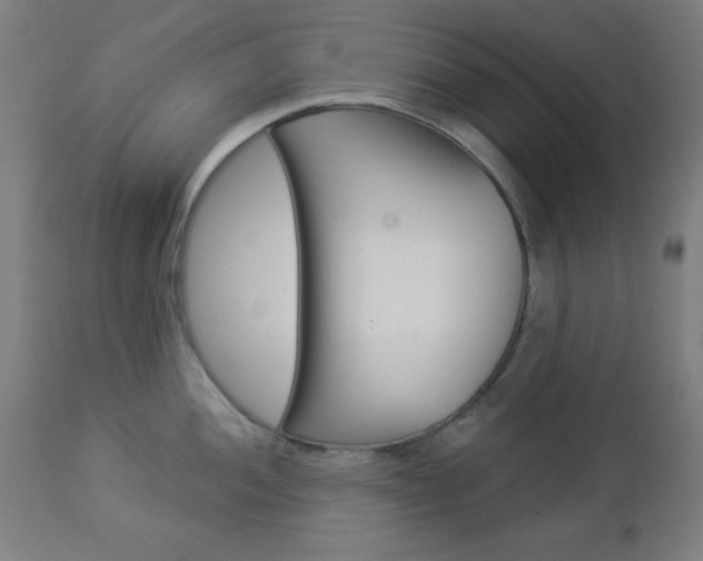 X0000112961052200908270915