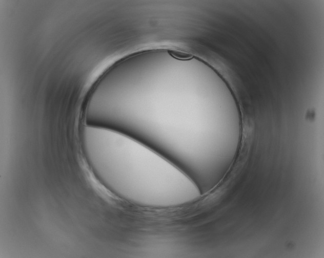 X0000112961054200908270915