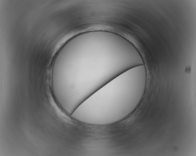 X0000112961055200908270915
