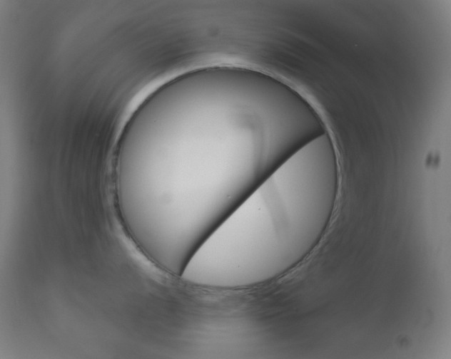 X0000112961056200908270915