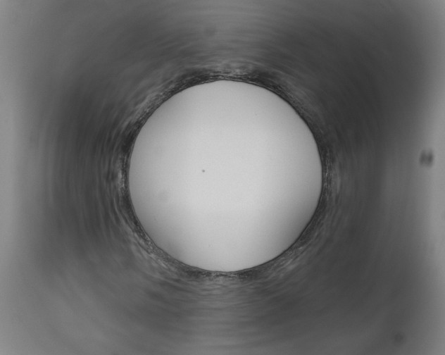 X0000112961058200908270914