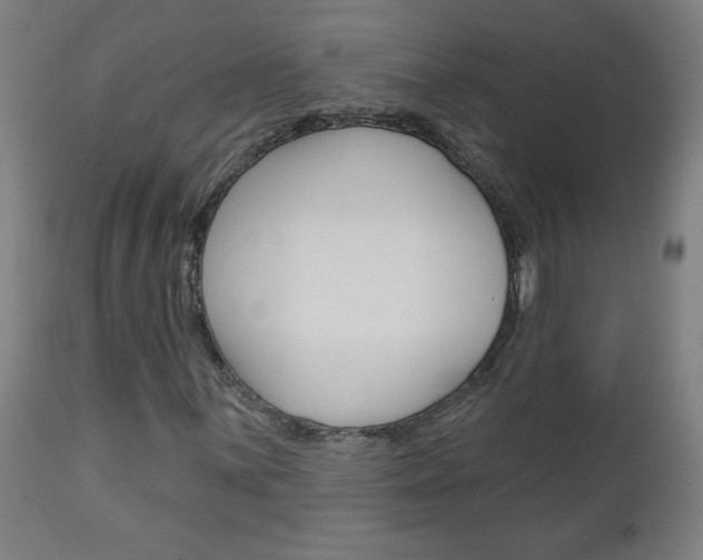 X0000112961059200908270914