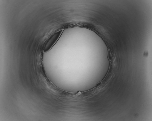 X0000112961060200908270914