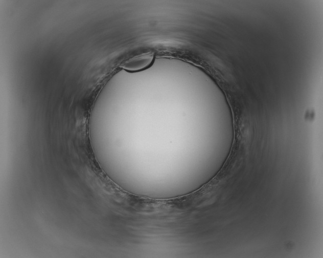 X0000112961061200908270914