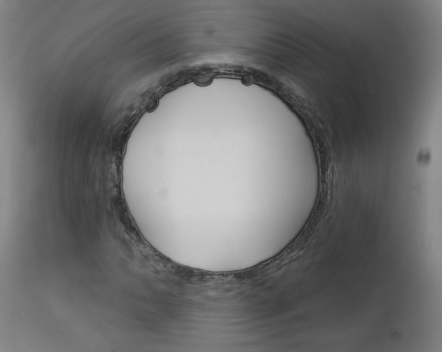 X0000112961062200908270914