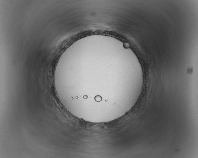 X0000112961063200908270914