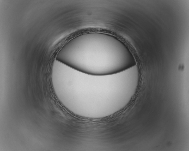X0000112961064200908270914