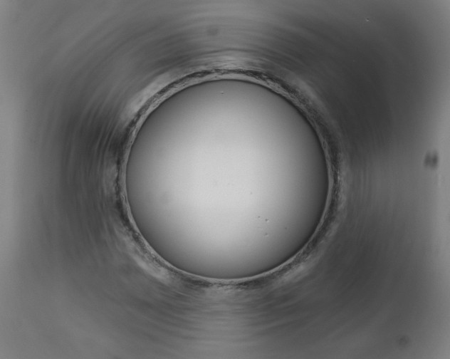 X0000112961065200908270914