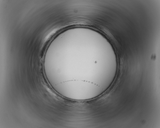 X0000112961067200908270914