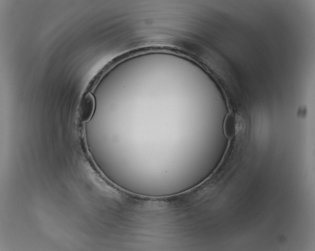 X0000112961068200908270914