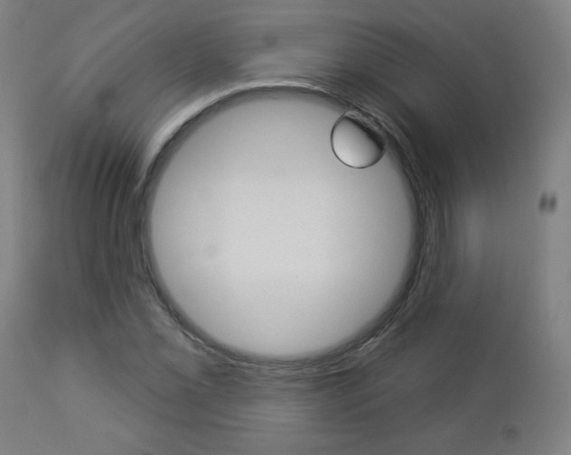 X0000112961069200908270914