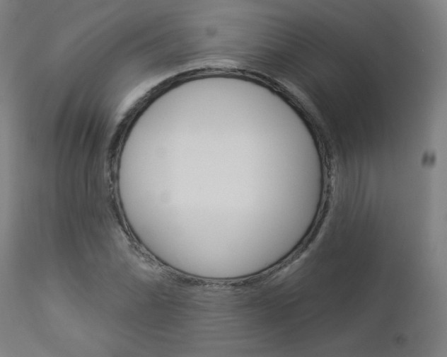X0000112961070200908270914