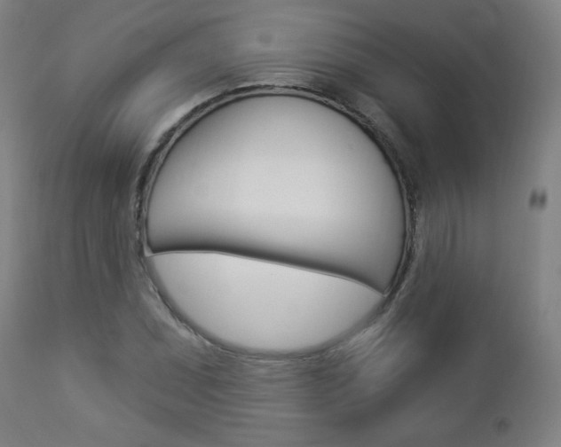 X0000112961071200908270914