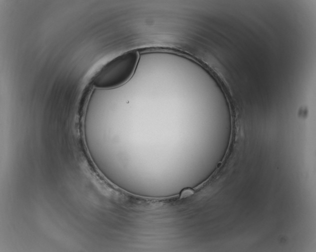 X0000112961072200908270914