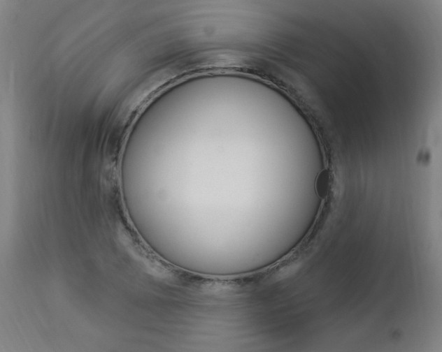 X0000112961073200908270914