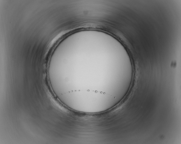 X0000112961075200908270914