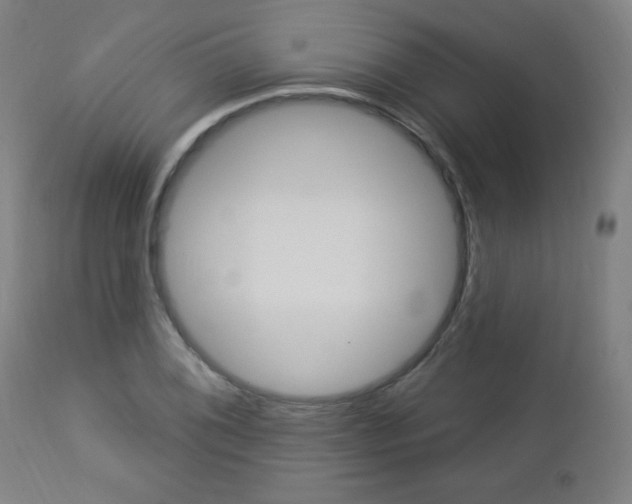 X0000112961076200908270914