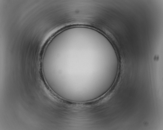 X0000112961077200908270914
