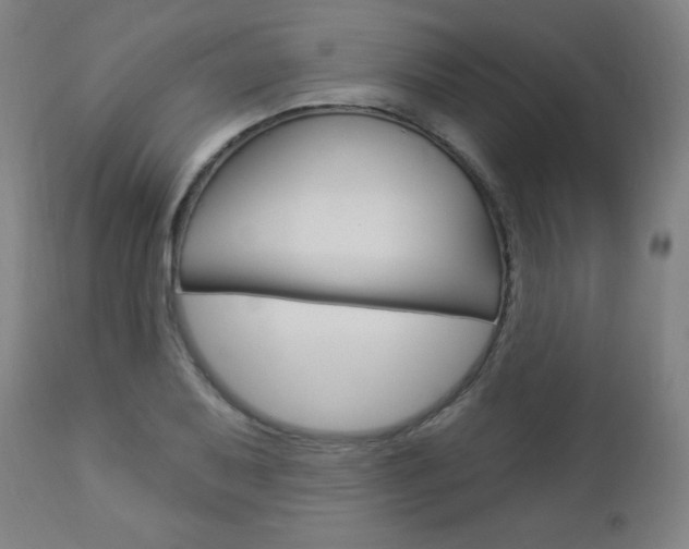 X0000112961079200908270914