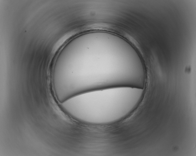X0000112961082200908270914