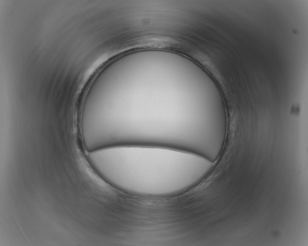 X0000112961083200908270914